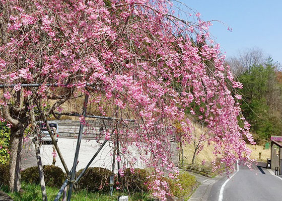 奈良の動物供養　室生ペット霊園の風景